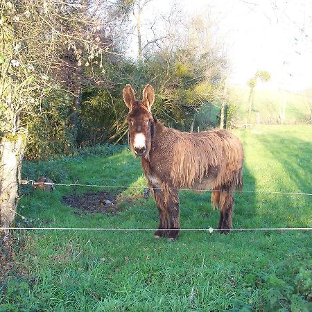 La Genoise Bed & Breakfast Tillieres ภายนอก รูปภาพ