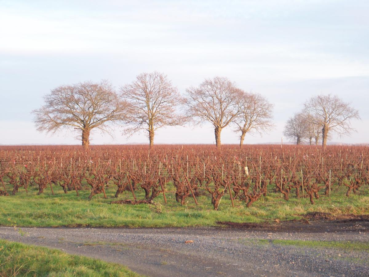 La Genoise Bed & Breakfast Tillieres ภายนอก รูปภาพ