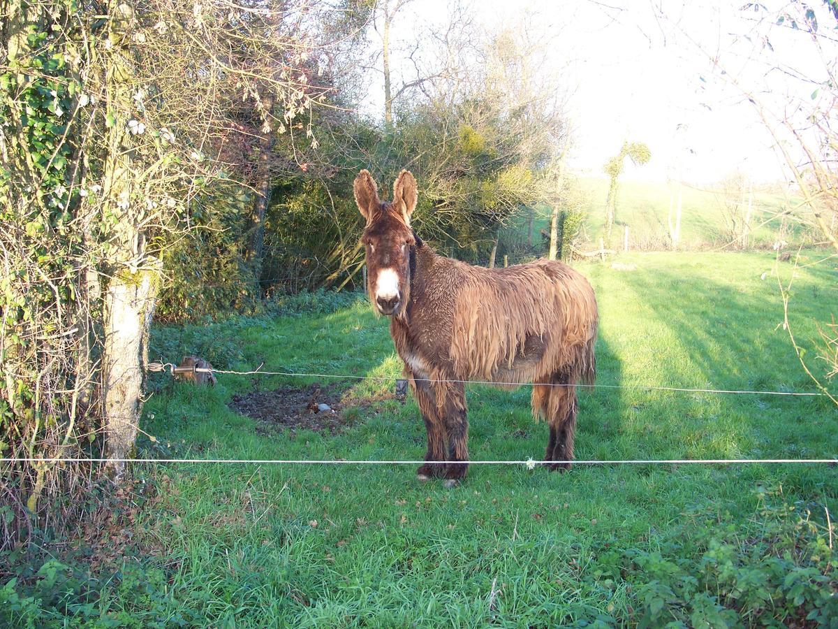 La Genoise Bed & Breakfast Tillieres ภายนอก รูปภาพ