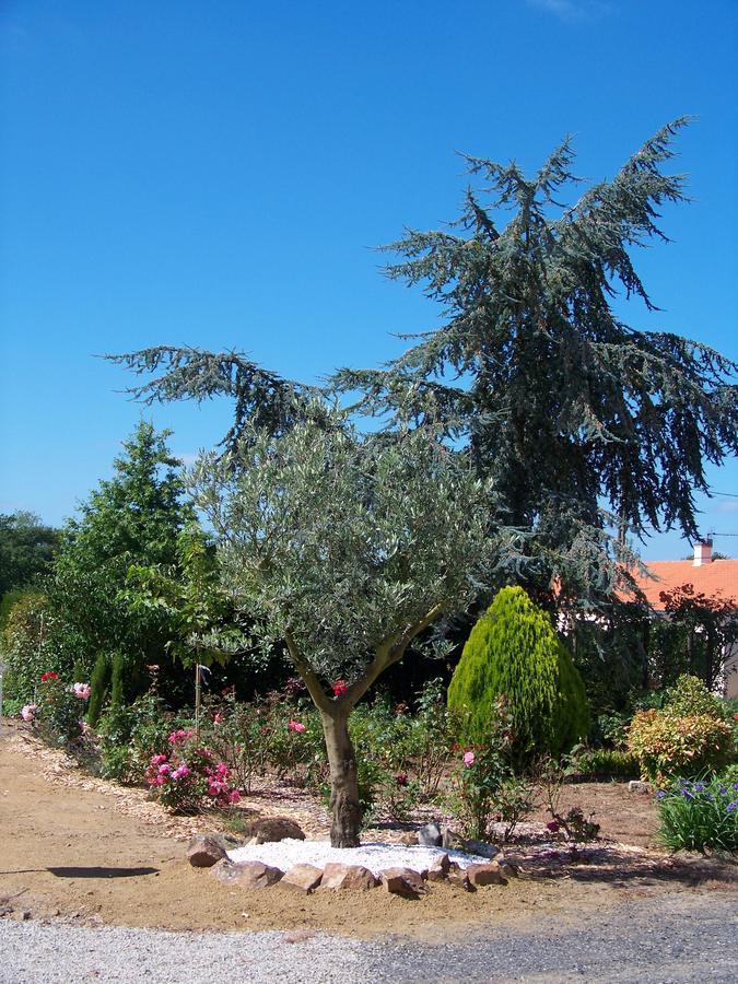La Genoise Bed & Breakfast Tillieres ภายนอก รูปภาพ